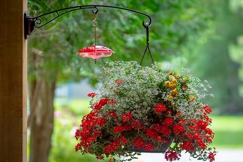 BirdsUP Hanging Bracket for Bird Feeders, Planters, Chimes, Heavy-Duty, Holds up to 25 lbs, 2 Hooks with Rubber Bumpers, Black, Screws Included