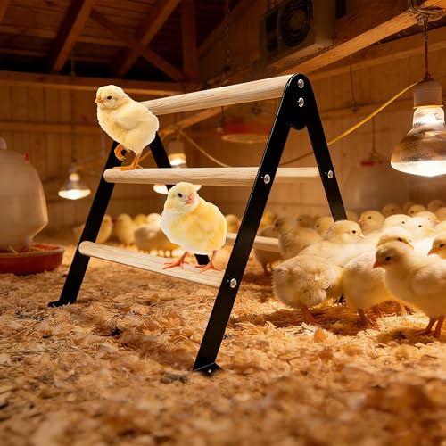 XCL Chicken Perch for Baby Chicks, Chicken Roosting Bars, Chicken Perch for Coop, Suitable for Backyard Poultry, Easy to Install Farm Chickens Roost Toys, A-Shaped Chicken Perch (S) - size: S
