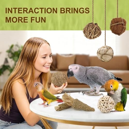 7Pcs Bird Toy Large Chewing Balls - Natural Soft Chew Shredding & Foraging Toy for Cockatiel Conure Quaker Parrot Budgie Parakeet Rabbit Bunny Guinea Pig Chinchilla - color: Model 1