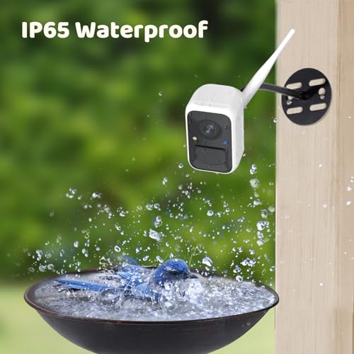 NETVUE by Birdfy Smart Bird Camera, Adjustable Brackets,Ideal for Beginners | AI Bird ID 6000+ Species, Auto Bird Video Capture, Instant Alerts, Free Cloud Storage, Easy Setup & App, Work with Alexa