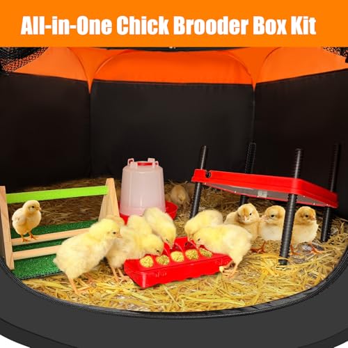 Brooder Box for Chick, 6-in-1 Chick Starter Kit - Brooder Heating Plate | Pop Up Chick Brooder Box with Baby Chicken Pen, Feeder, Waterer, Perch, Nesting Pad Up to 15 Baby Chicks, Duck and Quail