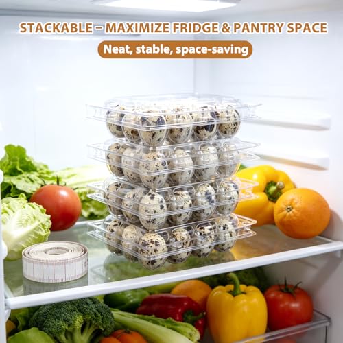 120 Pack Quail Egg Cartons 12 Grid, Heavy Duty Snap Lock Clear Plastic Small Egg Container, Stackable Bulk Tray for Quail Pigeon Button Eggs - Not for Chicken Eggs