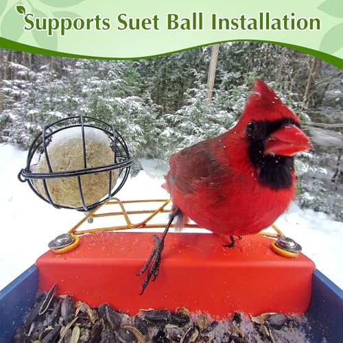Metal Perch Extender & Suet Ball Holder Compatible with Bird Buddy Feeder | Rust-Resistant Outdoor Birds Feeder Accessory, Wider Landing Space, Add On with Screws Included