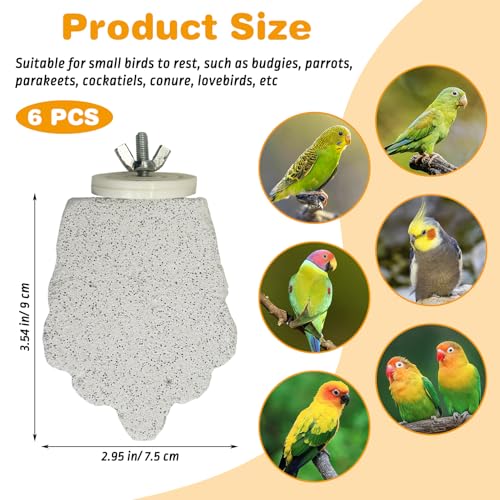PINVNBY 6 PCS Bird Perch Parrot Beak Grinding Stone Calcium Mineral Parrot Perch Foot Claws Trimmer Chewing Toy Bird Cage Accessories for Small Medium Budgie Cockatiel Conure Lovebird (Grape)