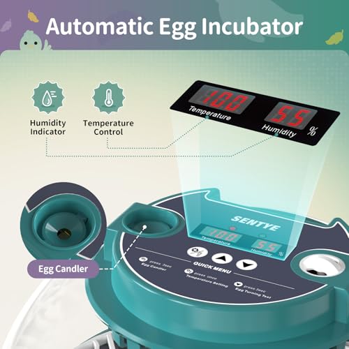 Automatic Egg Incubator for Hatching Eggs with LED Temperature Display, Humidity Control & Egg Turner, Clear Lid Incubator for Chicken, Quail & Bird Eggs (12 Egg Capacity)