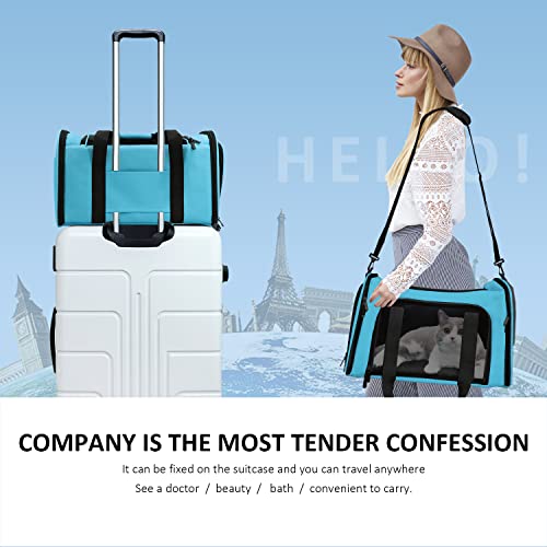 Henkelion Large Cat Carriers Dog Carrier Pet Carrier for Large Cats Dogs Puppies up to 25Lbs, Big Dog Carrier Soft Sided, Collapsible Travel Puppy Carrier - Large - Blue - color: Blue, size: 20.0"L x 13.0"W x 13.0"H