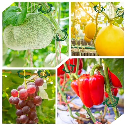 200 Pcs Plant Support Tomato Clips, Garden Clips, Crop Clips for Vine Vegetables, Fixing Tomato, Sweet Pepper, Eggplant, Makes Plants Grow Upright and Healthier（Green） - color: Green