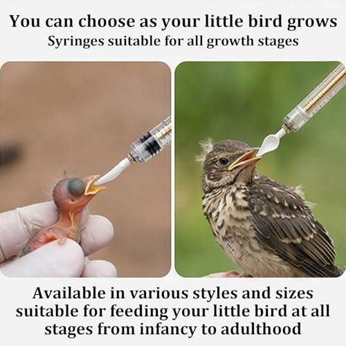 Baby Bird Feeding Syringe Kit,Hand Feeding Syringe for Birds,Pet Syringe Feeding Tool, Parrot Feeding Tubes Set for Small Baby Birds Pet Kittens (A) - color: A