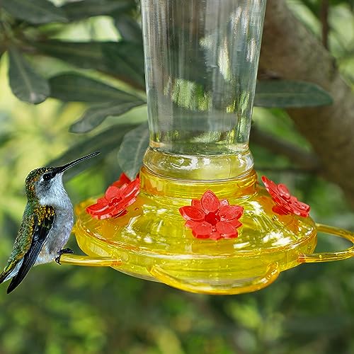 Shrdaepe Hummingbird Feeder, Glass Bottle Bird Feeders, 5 Feeding Ports (Red & Yellow) - color: Red & Yellow