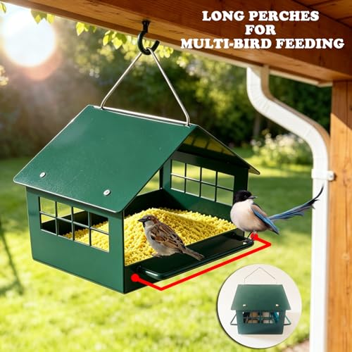 All-Metal Platform Bird Feeder, Dark Green Hanging Feeder | Double-Sided Long Perches, Stainless Steel Mesh Tray, Extended Roof Eaves and Rust-Resistant Finish for Small Birds