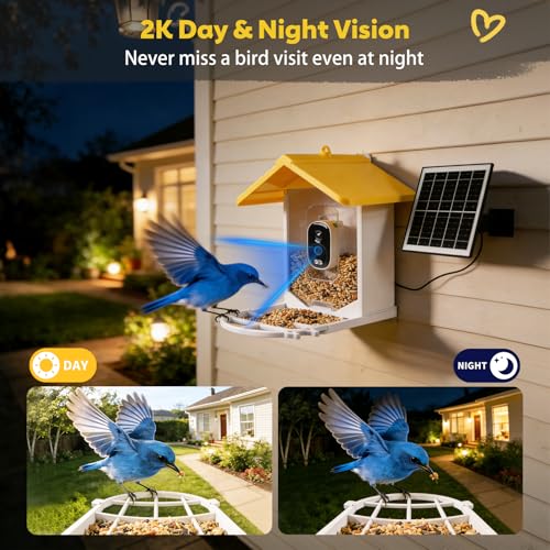 Smart Bird Feeder with Camera Solar Powered, 2K HD Live Video Bird Watching for Outside Garden, AI Identify 11000+ Species by Subscription, Instant Arrival Alerts, Gift for BirdLovers