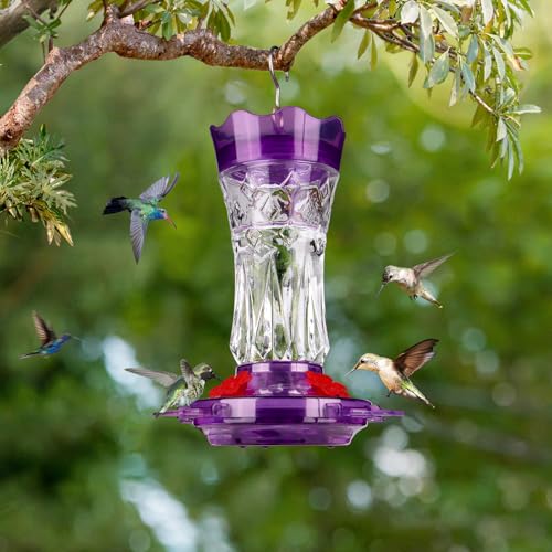 Glass Hummingbird Feeders for Outdoors, Built-in Ant Moat, Purple | 15oz, 4 Bee Guard Feeding Ports with Perches, Leak Proof, Stars Decor, Easy Refill & Clean, Gifts for Women Men Mom Dad - color: Purple
