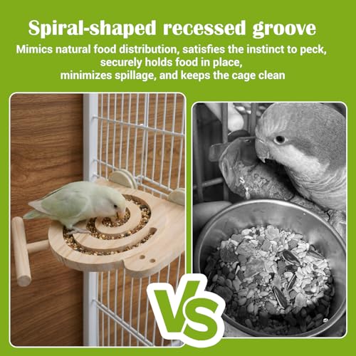 Bird Foraging Toys with Perch - Wooden Foraging Toys for Birds | Visible Slow Feeder Cage Accessories for Parakeets Cockatiels Budgies and Small Parrots