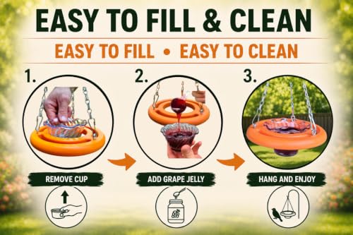 Oriole Bird Feeder, 6 Inch Orange Fruit Jelly Feeder, Baltimore Oriole Hanging Design (2)