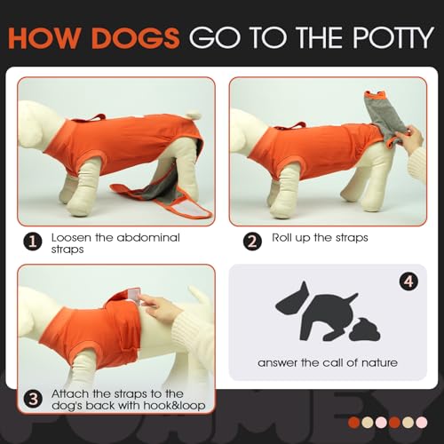 Dog Recovery Suit Male,Dogs Surgery Neuter Suits Puppy Spay Shirts for Female Protect Dog's Skin Anti Licking Abdominal Wounds Doggie Onesie Pet Bodysuit Alternative to Cone Orange XS - color: Orange, size: Xs(back:8.3-11.4in,wt:4-7lbs)