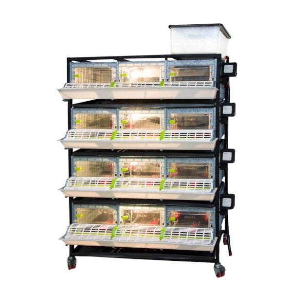 Hatching Time 9.5" Chick Brooders – Stackable or 2-Section Options with Automatic Heating, Modular Design, Easy to Clean, Ideal for Quail, Pheasant, and Baby Chicks (4 Layer) - style: 3 Section, 4 Layer