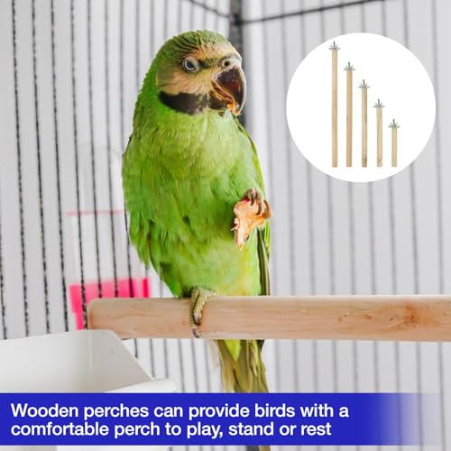 5Pcs Wood Bird Perch Stand Set – 10-30 cm Parrot Cage Stick Natural Branch for Cockatiels Parakeet, Climbing Rod Paw Grinding Toy