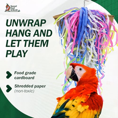 Sweet Feet and Beak Pizza Party Slice, 8" Bird Shredding and Foraging Toy | Food Grade Shred and Cardboard, Hanging Bird Toy with Nickel Chain and Quick Link. Hide Seeds, Pellets, or Treats, Bird-Safe