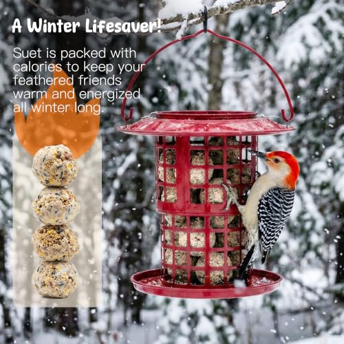 KOL Metal Suet Ball Feeder for Birds – Single-Layer Expandable Design Suet Bird Feeder, Heavy-Duty Wild Bird Feeder with Secure Lid, Large Capacity for Backyard (Red) - color: Red