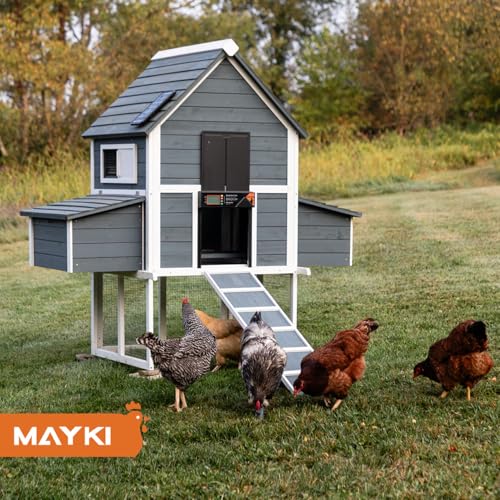 MAYKI Automatic Chicken Coop Door Solar Powered, Accessories Extra-Large with 4 Auto Modes (Timer & Light Sensor), Anti-Pinch, Waterproof Cold Weather, FCC/CE/RoHs Certified, Aluminum Build, M Black