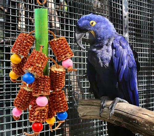 Bird Chew Toys, Natural Corn Cob Parrot Toys for Small/Medium Birds | Natural Corn Cob, Bird-Safe Dyes, Can Hung Inside the Cage, Promotes Beak Health, For Cockatiels, Conures, Lovebirds & More