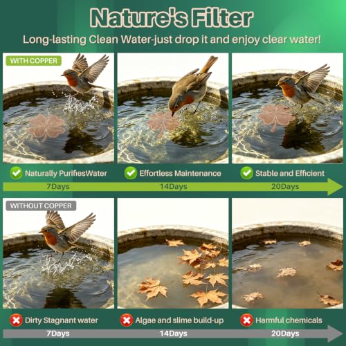 3Pcs LuckyClover Bird Bath Copper Purification Disk | 99.99% Pure Copper Bird Bath Discs 0.6mm Reinforced,Natural Physical Cleaner for Outdoor Birdbaths, Fountains & Bowls - size: 3Pcs Lucky Clover