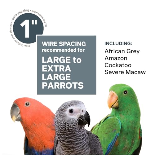 Prevue Pet Products Imperial Extra Large Stainless Steel Bird Cage | Big Birdcage Ideal for Parrots, Cockatoos, Macaws, Included Perch and Cups, Durable Cage with Wheels - size: 41.3"L x 27.9"W x 73.8"H