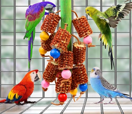 Bird Chew Toys, Natural Corn Cob Parrot Toys for Small/Medium Birds | Natural Corn Cob, Bird-Safe Dyes, Can Hung Inside the Cage, Promotes Beak Health, For Cockatiels, Conures, Lovebirds & More