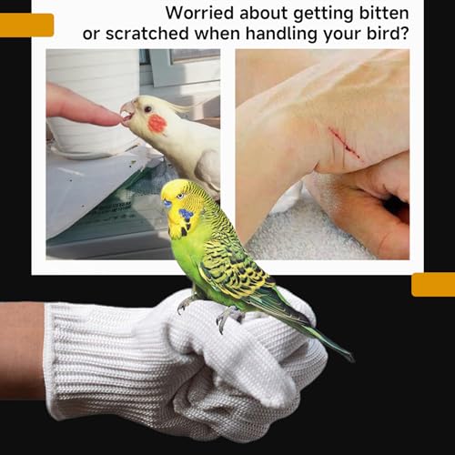 QBLEEV 1 Pair Bird Handling Anti-Bite Gloves, Small Animal Bite Proof Gloves for Training - color: White