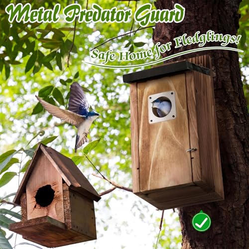 Dreyoo 2 Pack Bluebird Box Houses for Outside,1-1/2'' Entrance Hole Wooden Bird Houses with Metal Guard, Secure Latch,Fledgling Grooves,Air Vents for Bluebird Wren Swallow (Black Roof,Burnt Wood Body) - color: Black Roof,Burnt Wood Body