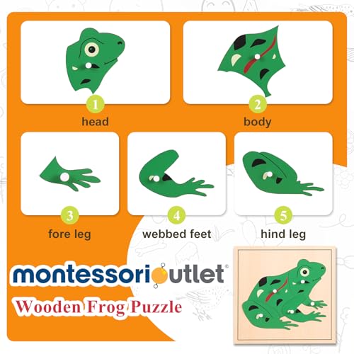 Montessori Outlet Frog Puzzle for 3-6 Years Montessori Education at School and Home - color: Frog