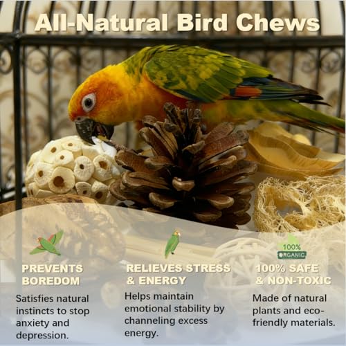 Bird Toys - Sola Ball Foraging Box, 10 Natural Ingredients | Chewing and Shredding Parrot Toys | Ideal for Parakeets/Cockatiels/Conures/Lovebirds and Small to Medium Birds - size: Sola Ball Foraging Box