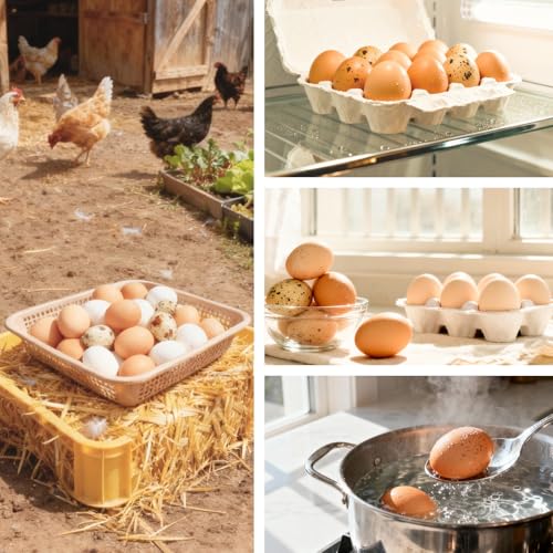 Lumkew Egg Washer Cleaner for Fresh Eggs, Egg Wash and Brush Scrubber, 1pcs | Cleaning Eggshell, Universal ,Cute Chicken Coop Essentials