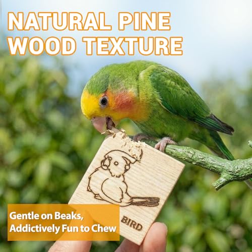 16 Pack Natural Balsa Wood Bird Chew Toys - World's Softest Wood, Safe Chewing Toys for Parakeets, Cockatiels, Lovebirds & Small Medium Birds. (Medium)