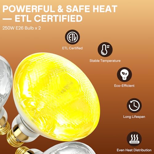 2-Head Food Heat Lamp, 500W Commercial Food Warmers, Silver | Keep Food Warm, Adjustable Heads, Portable Heat Lamp for Food, Food Warmers for Parties Buffet, Restaurant, Kitchen, Catering - color: Silver