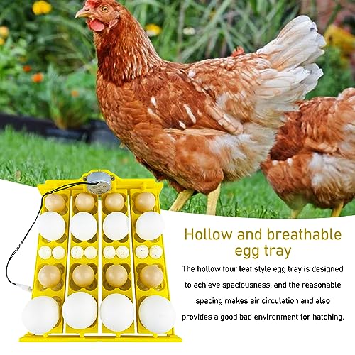 Egg Turning Tray, AC 110V Chicken Multifunction Automatic Turner Incubation, Quail Incubators for 16 Duck Eggs 16 Eggs 72 Quail Eggs - size: AC110V