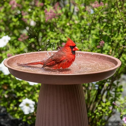 Sunnydaze Modern Bird Bath for Outside, Iron, 23” H, Matte Canyon Clay | UV & Rust-Resistant Matte Finish, Durable Iron,1 Gal Water Cap, Outdoor Birdbath for Garden, Pedestal Bird Bath with Bowl - color: Matte Canyon Clay