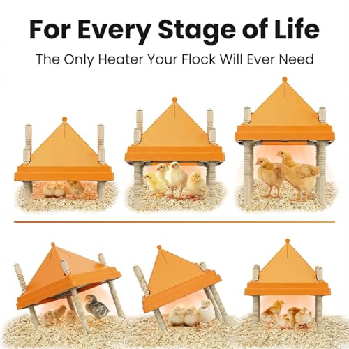 Chick Brooder Heating Plate with Anti-Roosting Cone Cover, 12" x 12" Large Brooder Heater for Chicks, Adjustable Height & Angle, Safe & Energy Efficient Radiant Heat, Keeps Top Clean & Chicks Huddled - size: 10.0"L x 12.0"W x 12.0"H