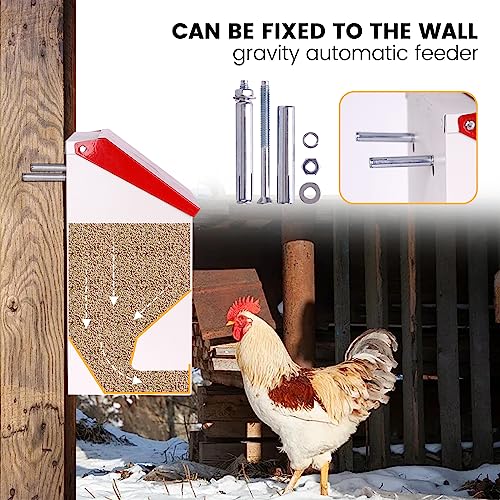 Galvanized Wall Mount Chicken Feeder No Waste Hanging Chicken Feeder with Lid Weatherproof Metal Automatic Poultry Feeder Trough Food Dispenser for Outside Coop (10 lbs)
