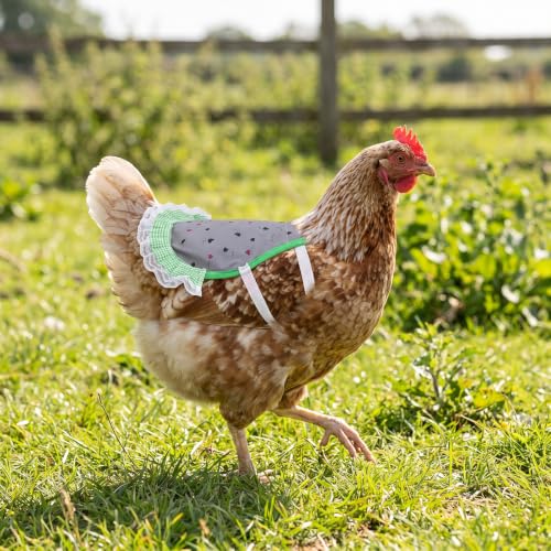 6Pcs Chicken Saddle Apron Lace Poultry Apron for Small Chickens | Breathable canvas fabric,adjustable elastic straps,full feather protection,fit small medium hens,smooth scratch-proof edges - color: Vibrant Fruit Print