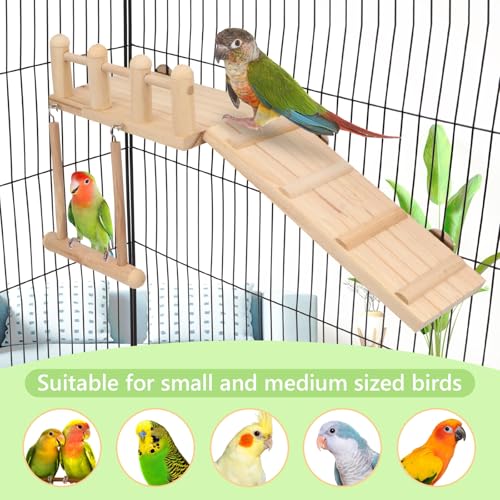 Wontee Bird Perches Platform Swing with Climbing Ladder Bird Cage Accessories Play Gym Exercise Stand for Parrots Budgies Parakeets Caique Senegal Cockatiels Conures