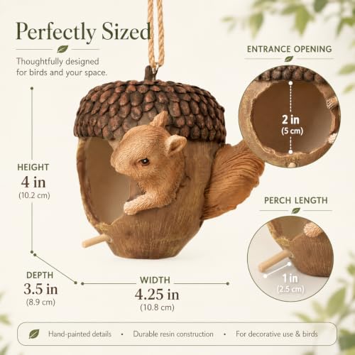 Acorn Bird House for Outside, Hand-Painted Resin Hanging Birdhouse with Squirrel, Weather-Resistant Decorative Bird House for Garden, Patio, Yard & Porch - style: Acorn
