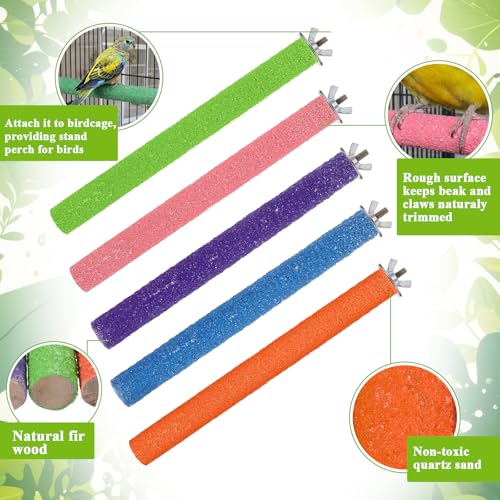10 PCS Parrot Perch Stand Toy - Colorful 7.9 Inch Natural Wood Paw Grinding Stick for Medium Birds, Cage Accessories for Parakeets, Cockatiels, Lovebirds & Conures