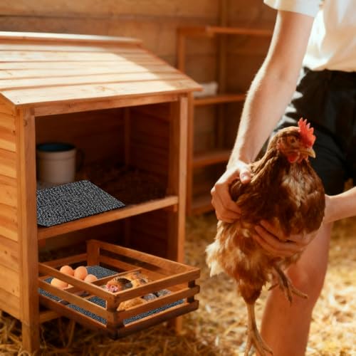 Nesting Pads for Chicken Coop, 12 x 12 inch Plastic Chicken Nesting Boxes Pads Coop Accessories for Chicken Hen Box Laying Eggs, Gray (2)