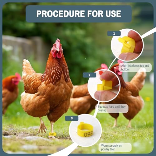 200 Pieces 20 MM Plastic Chicken Leg Bands with 5 Colors, Reusable Colorful 01-100 Numbered Chicken Foot Tags, Clip-On Round Poultry Leg Bands for Ducks Chicks Goose Turkey Pigeons