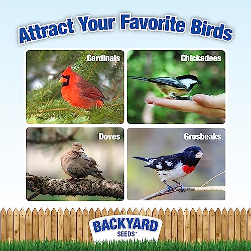 CountryMax 20 LB Backyard Seeds Premium Bird Seed | Supreme Wild Bird Food Blend for Outside Feeders, Medium Bag of Wild Bird Food - size: 20 Pound (Pack of 1), style: Premium Blend