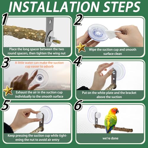 2 Pcs Natural Bird Perch Stand with Suction Cup Window Birds Perch for Window Mirror Car Shower Ceramic Tiles Bath Wood Training Perch, for Bird, Cockatoo, Macaw, Parakeet