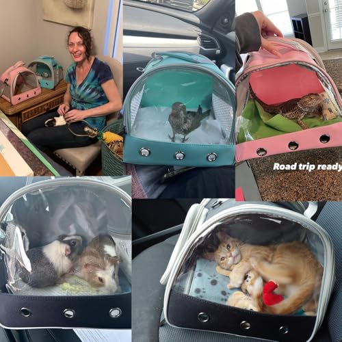 Guinea Pig Carrier Backpack, Clear Bubble Window Backpack for Guinea Pig, Bunny Rat Bird (Blue, Carrier) - color: Blue