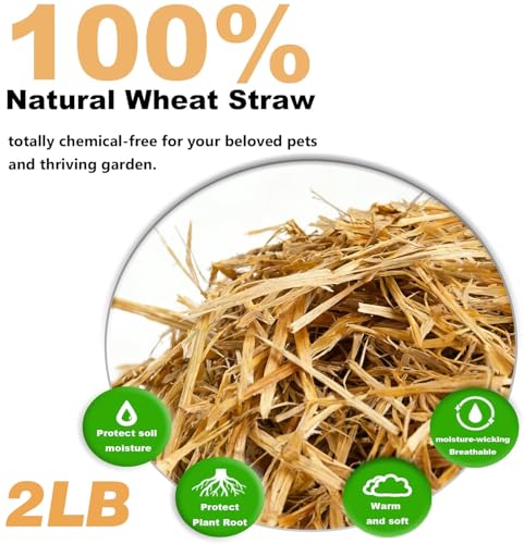 Natural Wheat Straw - Dry Clean Soft Bale for Stray Cats & Dogs Shelter, Chicken Coop Bedding, Garden Mulch & Weed Cover (2LB) - color: 2LB