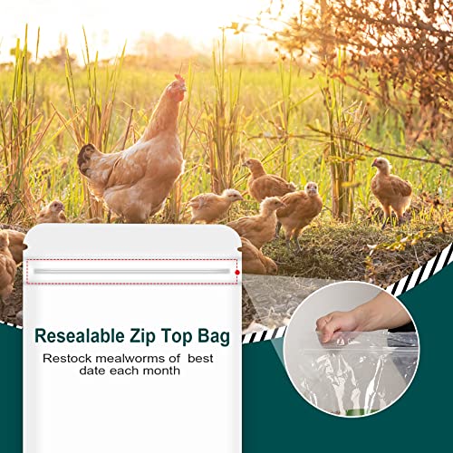 6LBs Non-GMO Dried Mealworms,High-Protein Larvae Treats Feed Molting Supplement for Birds Hens Ducks etc,Large Bulk Meal Worms Birds Chicken Food